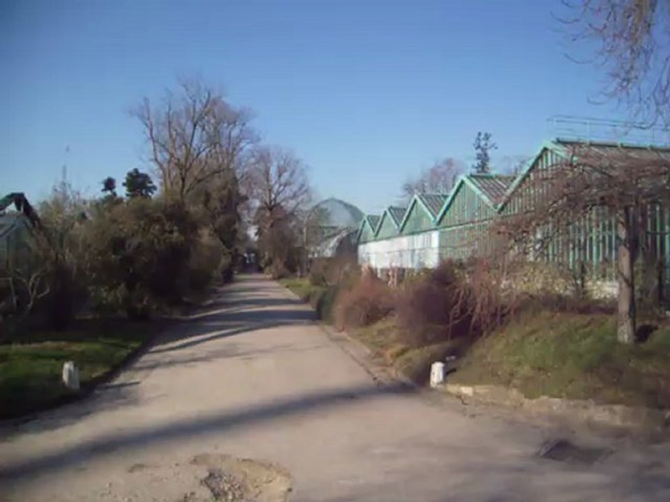 Les serres d'Auteuil que Paris veut détruire