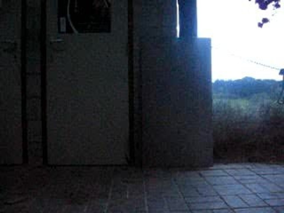 Vidéo n°2
