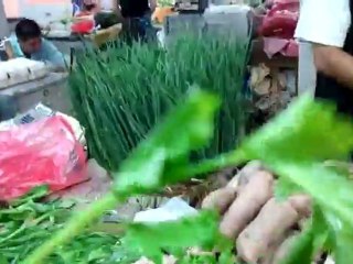 video-2011-09-06-17-44-35