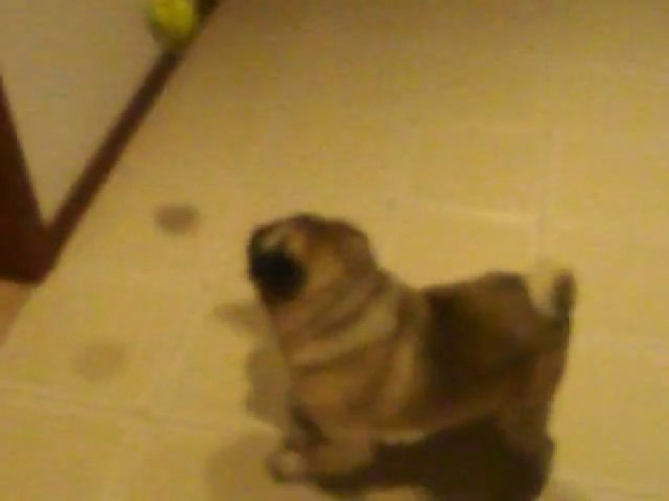 video apple