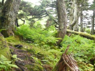 CRUISE (JUNEAU)-2010.05 034