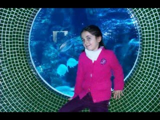 selenay aydemir_0001