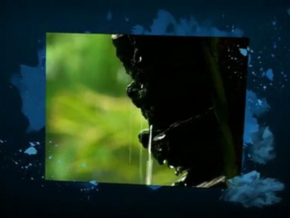 10 facts about water and the environment | Environmental