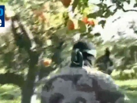 Hamas establece la línea de producción de cohetes en el Sinaí