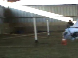 Mon poney tarré Février 2011 2 .