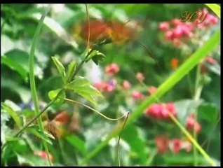 Sonsuzluk Baslamis Durumda