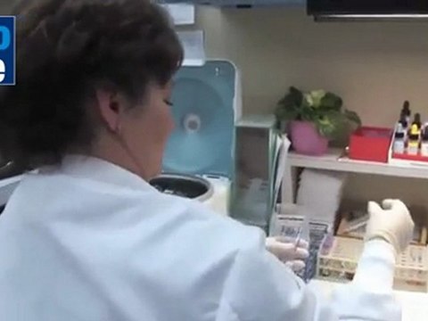 Investigadores israelíes logran reparar tejido dañado con células madre