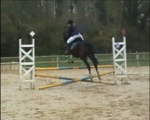 Concours Club 2 Le 11 novembre 2011 à Airion