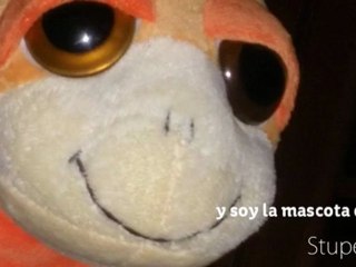 PETRIS