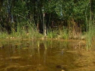 Documental: Un mundo acuatico