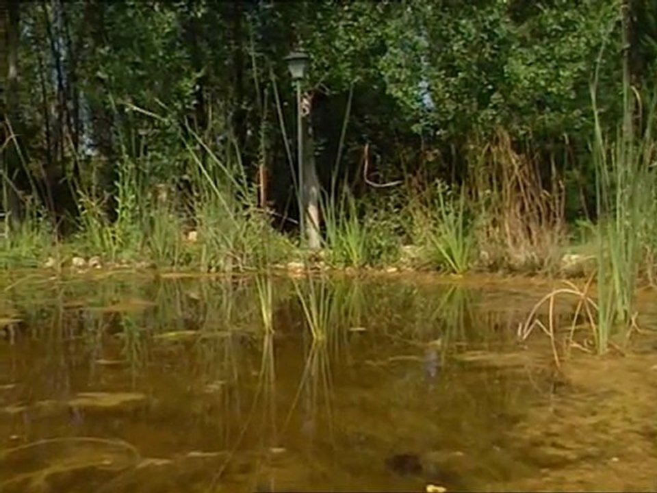 Documental: Un mundo acuatico