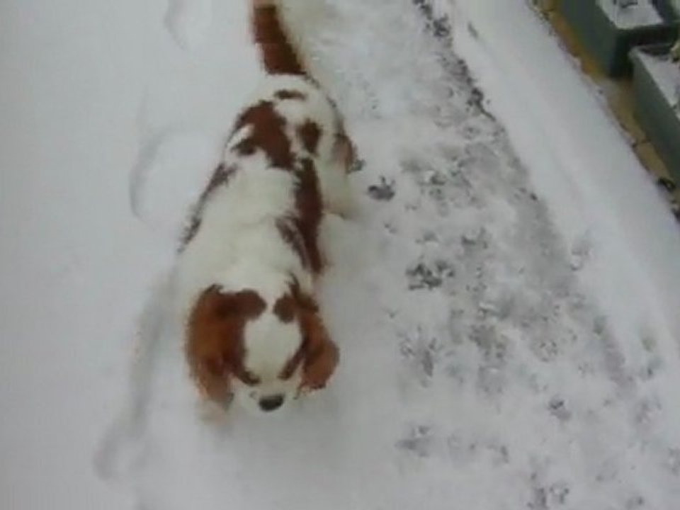 les 5 cms de neige attendus