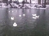 Neige à Montbernage, Poitiers