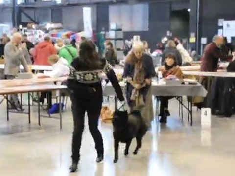 passage Fidji Troyes 040212