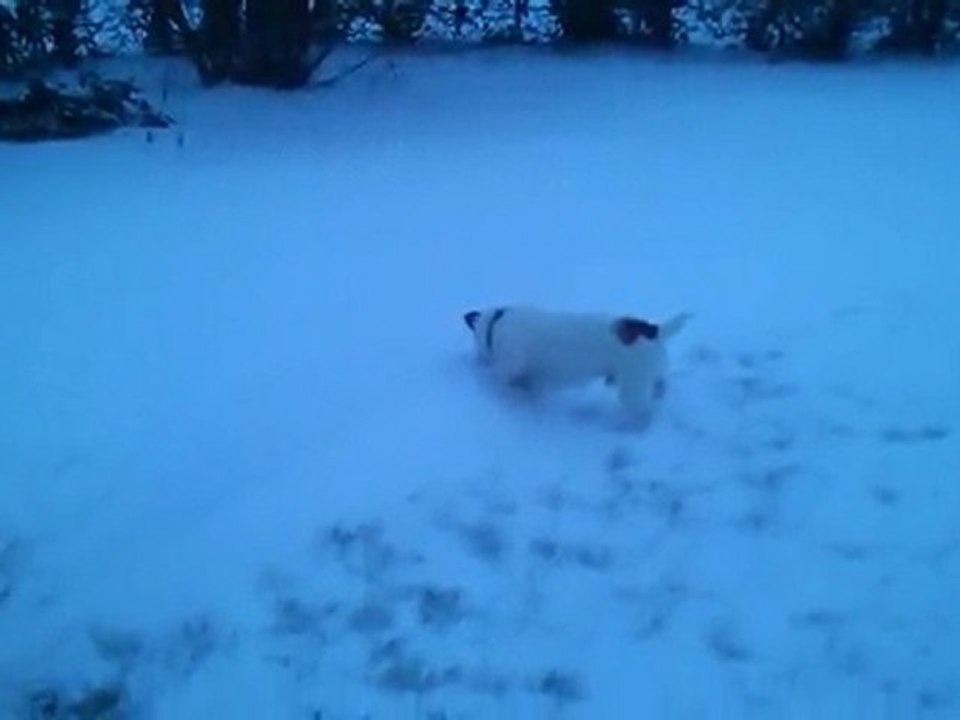 Graffiti dans la neige