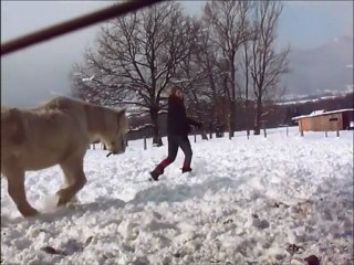 Galop dans la neige !