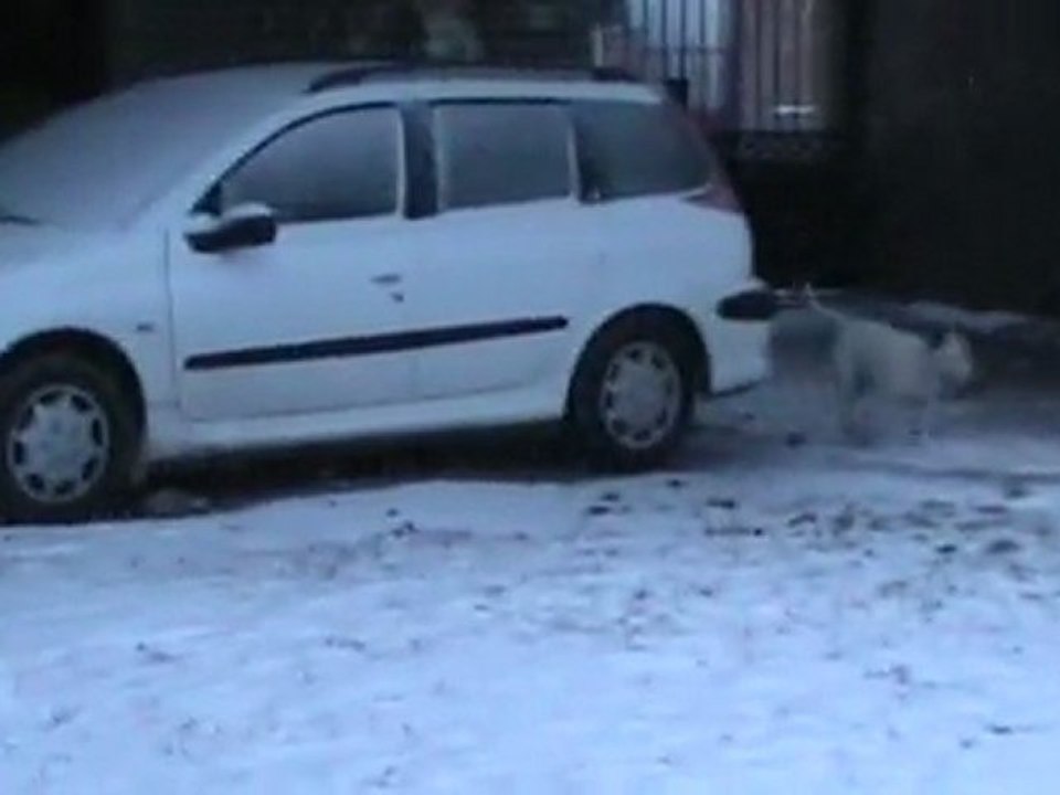 1ère neige!!!!