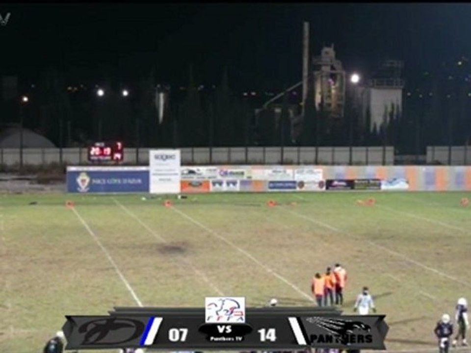 Dauphins - Black Panthers