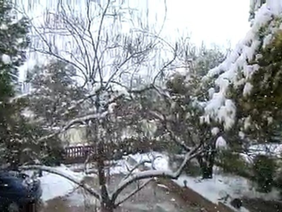CIMG0221