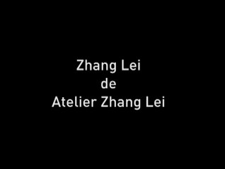 Zhang Lei de Atelier Zhang Lei