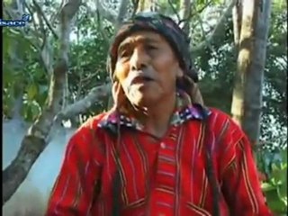 Une navette pour aller au ski (Colmar)