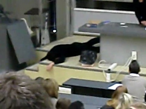 Fac de médecine Amiens, un étudiant pète les plombs en pleins cours