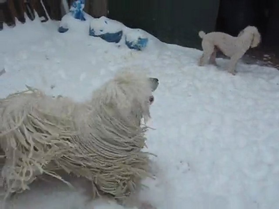 Sous la Neige 1