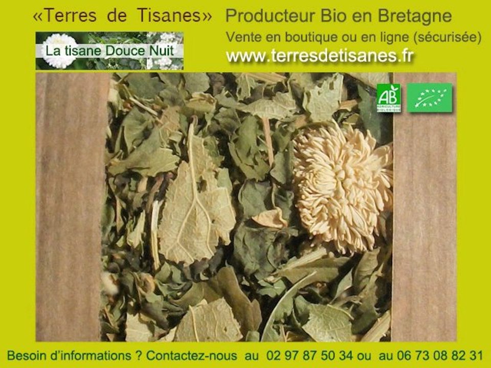 Tisane pour dormir, bio -  "Terres de Tisanes" producteur en France de tisanes et infusions bio pour un sommeil calme