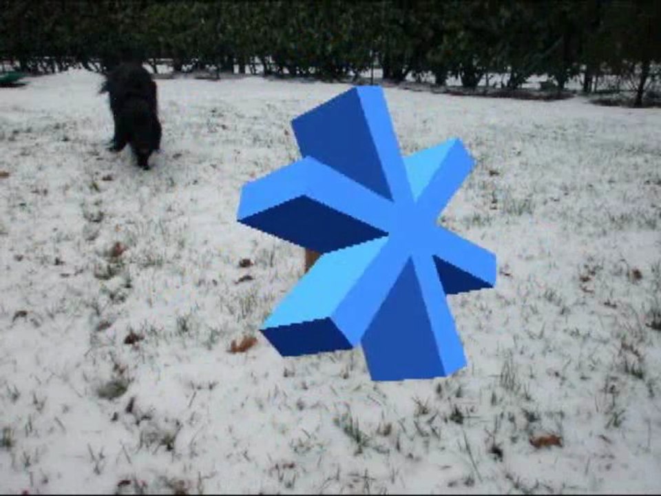 sous la neige fevrier 2012