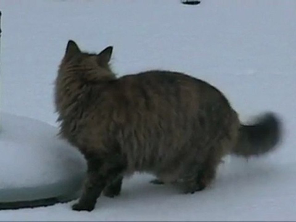 20120205 NeigeLR Mimi-Soizic+Impro