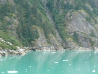 CRUISE (TRACY ARM)-2010.07 009