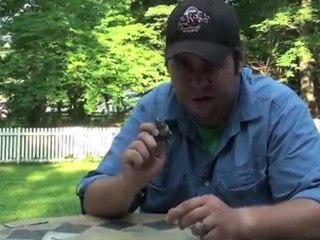 ICAST Pool Test: Bombshell Turtle