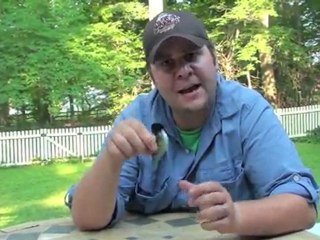 ICAST Pool Test: Lucky Craft Fat Smasher