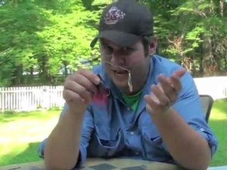 ICAST Pool Test: Death Shimmer Spinnerbait