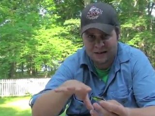 ICAST Pool Test: Salmo Zipper