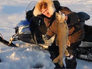 Jim Baird's Artic Adventure: Why I Did the Trip