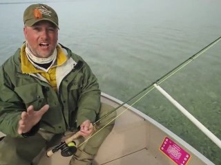 Find The Warm Water, Find The Fish