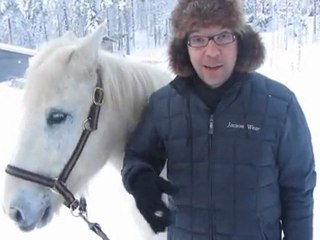 Saludos finlandeses 28 grados bajo cero