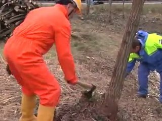 allerta gelo volontari pronti