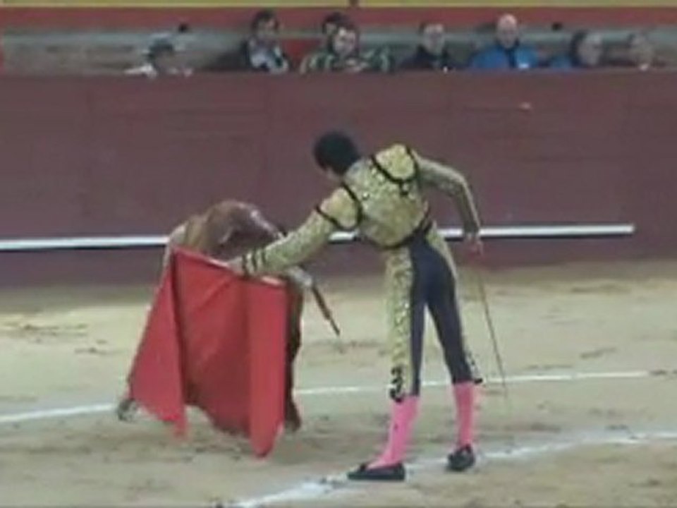VALDEMORILLO CORRIDA 5-2-2012