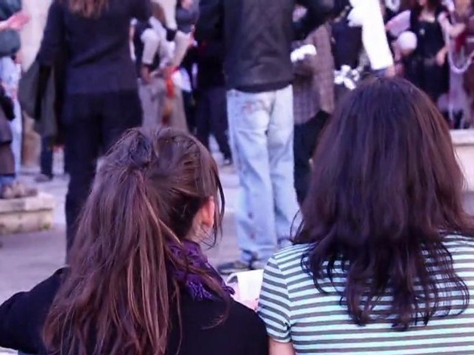 Vidéo officielle : Zombie Day 5 Lyon, 2011