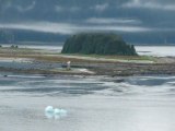 CRUISE (TRACY ARM)-2010.07 018