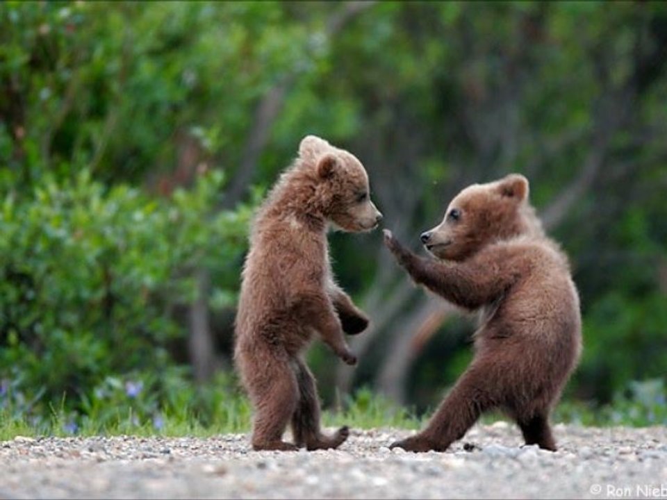 Bebeğim Uyusun - Özge İlayda