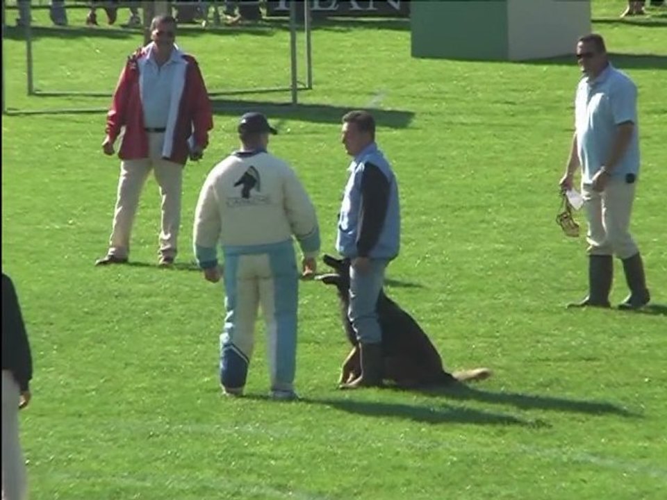 Hommage à virus du Musher
