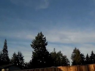 Part One:  3 Weeks After the Snow & Ice Storm of January 2012