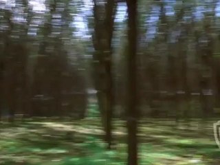 Mortal Kombat - Clip Scorpion