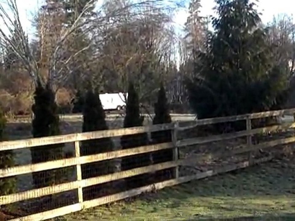 Part Two:  3 Weeks After the Snow & Ice Storm of January 2012