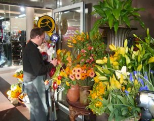 Beautiful Flowers Dunedin NZ -Orchid Florsit