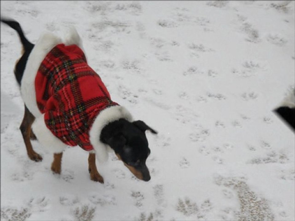 Légère couche de neige ce matin 5 février 2012