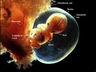 Movie~Fathers Love Letter(Made in Love)